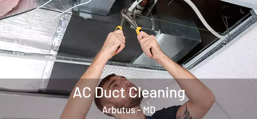  AC Duct Cleaning Arbutus - MD