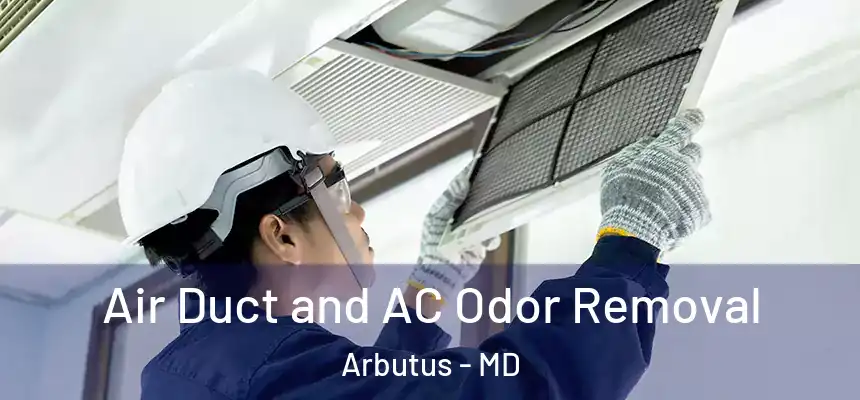  Air Duct and AC Odor Removal Arbutus - MD