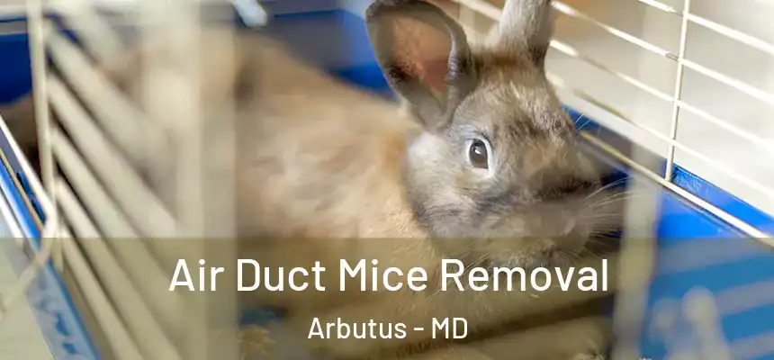 Air Duct Mice Removal Arbutus - MD