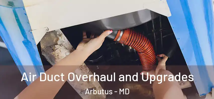  Air Duct Overhaul and Upgrades Arbutus - MD