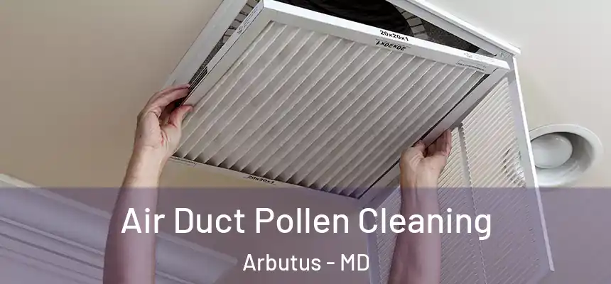 Air Duct Pollen Cleaning Arbutus - MD