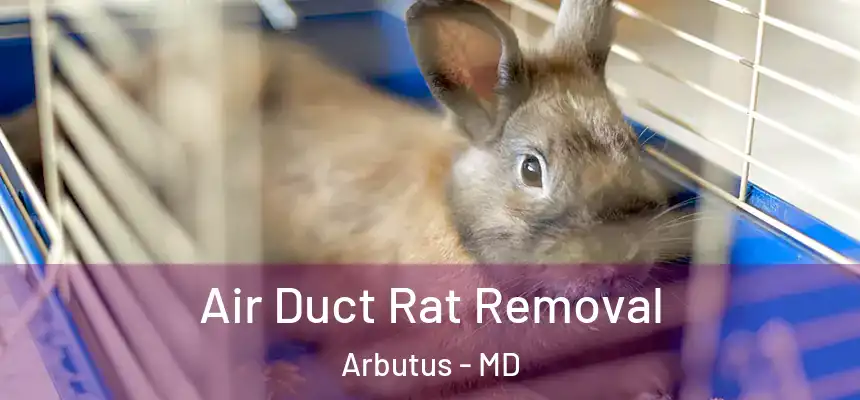 Air Duct Rat Removal Arbutus - MD