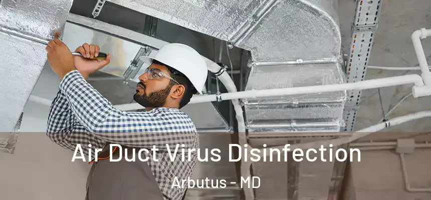 Air Duct Virus Disinfection Arbutus - MD