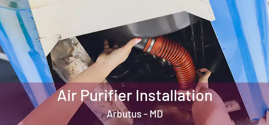Air Purifier Installation Arbutus - MD