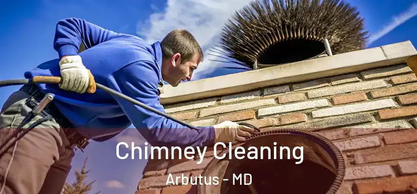 Chimney Cleaning Arbutus - MD