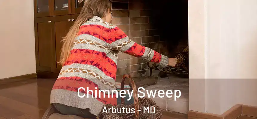 Chimney Sweep Arbutus - MD