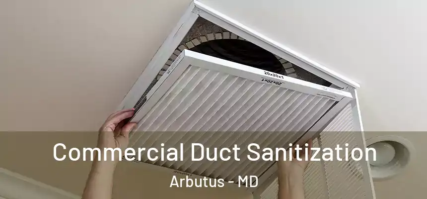 Commercial Duct Sanitization Arbutus - MD