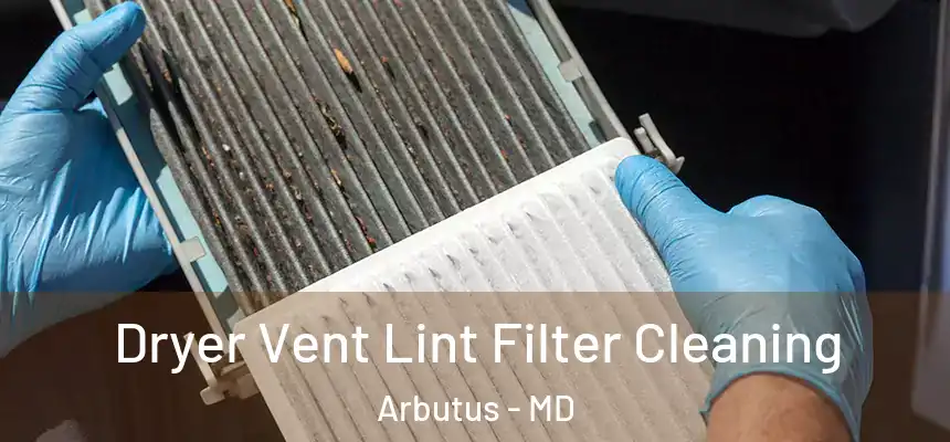 Dryer Vent Lint Filter Cleaning Arbutus - MD