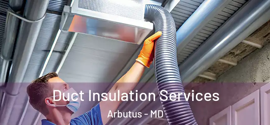 Duct Insulation Services Arbutus - MD