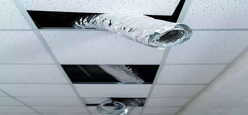 Affordable HVAC Sanitizing After Pest Removal in Arbutus