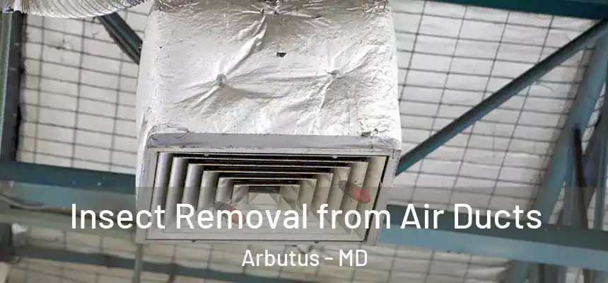  Insect Removal from Air Ducts Arbutus - MD