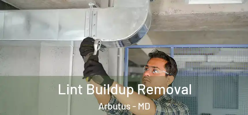 Lint Buildup Removal Arbutus - MD