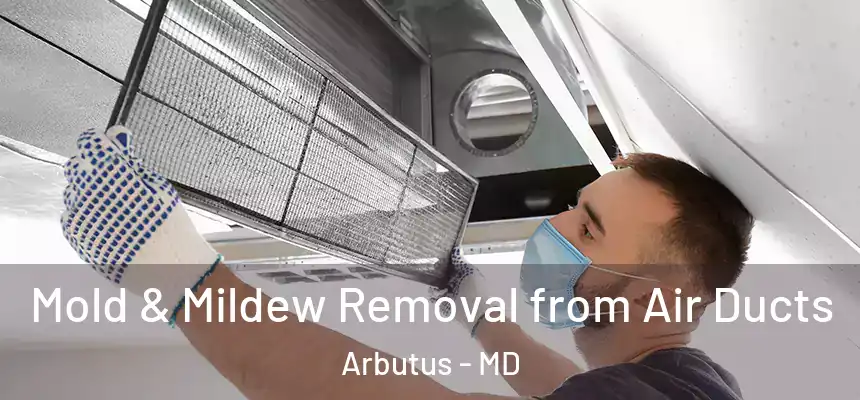  Mold & Mildew Removal from Air Ducts Arbutus - MD