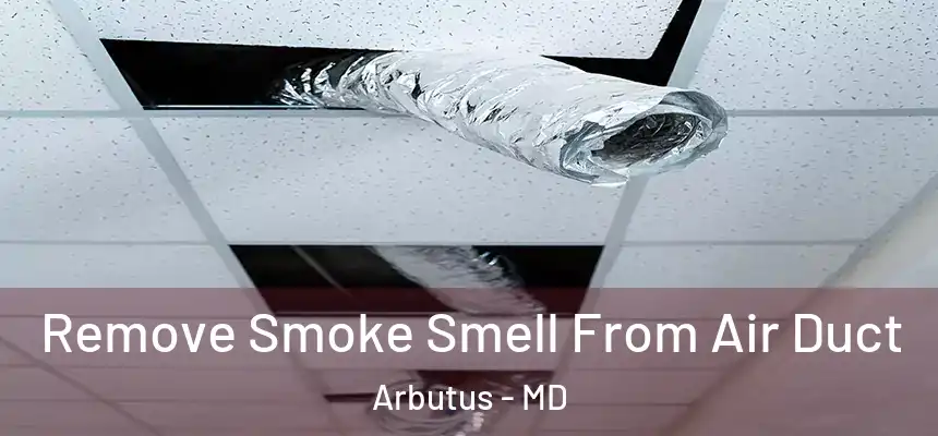 Remove Smoke Smell From Air Duct Arbutus - MD