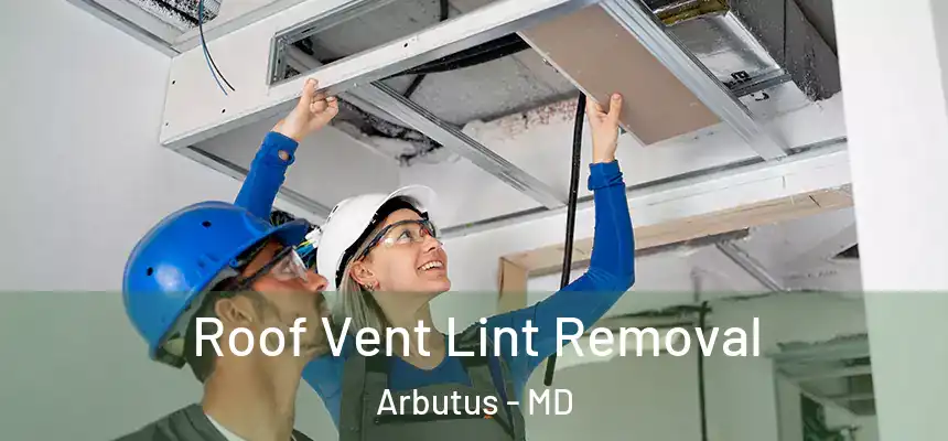 Roof Vent Lint Removal Arbutus - MD