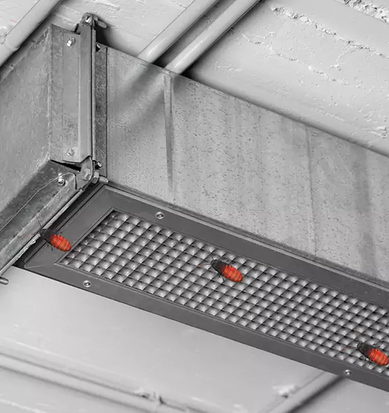 About Air Duct Cockroach Removal in Arbutus, MD