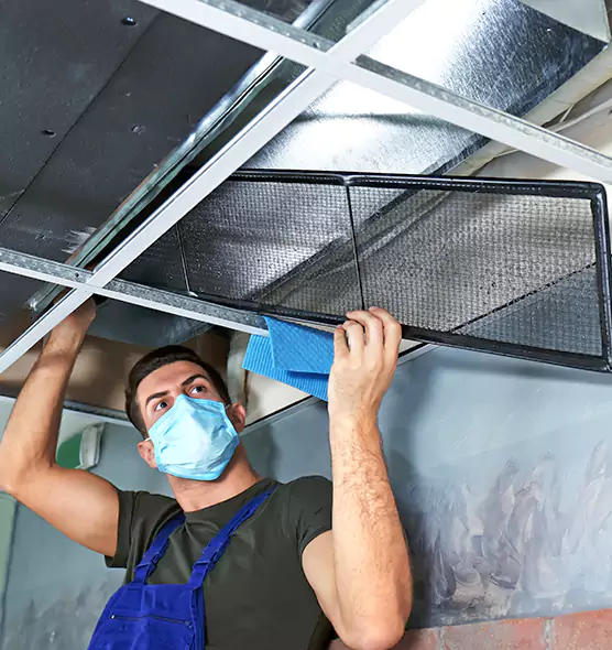 Professional Air Duct Pollen Cleaning in Arbutus, MD