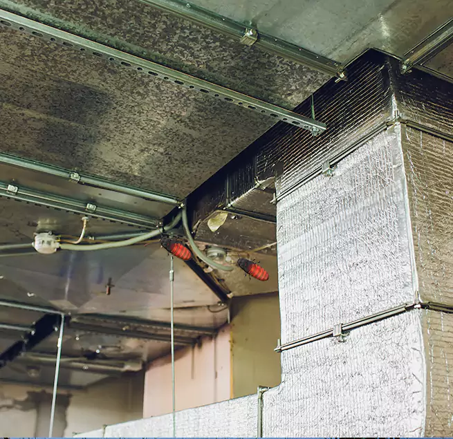 Why Homeowners & Businesses Trust Us in Arbutus, MD?