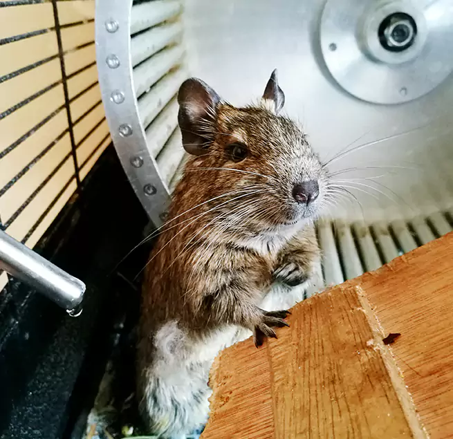 Why Homeowners & Businesses Trust Us Arbutus, MD