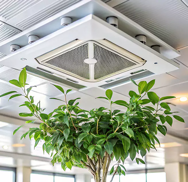 Why Homeowners & Businesses Trust Us in Arbutus, MD