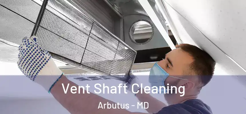  Vent Shaft Cleaning Arbutus - MD